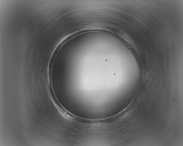 X0000060560988200511031238