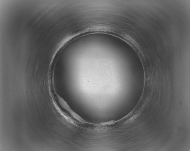 X0000060560989200511031238