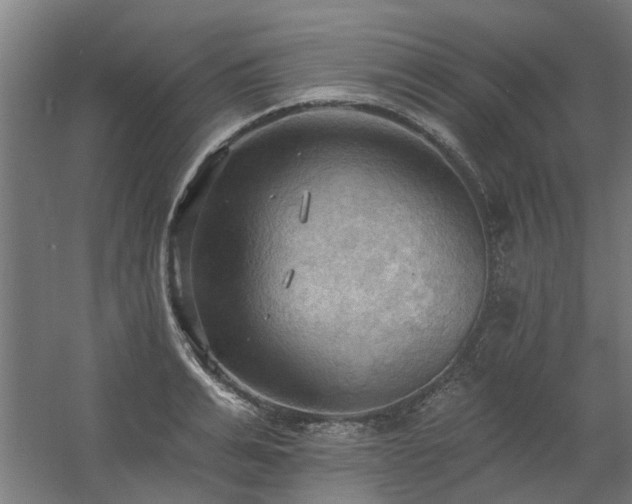 X0000060560991200511031238