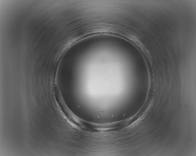 X0000060560993200511031238