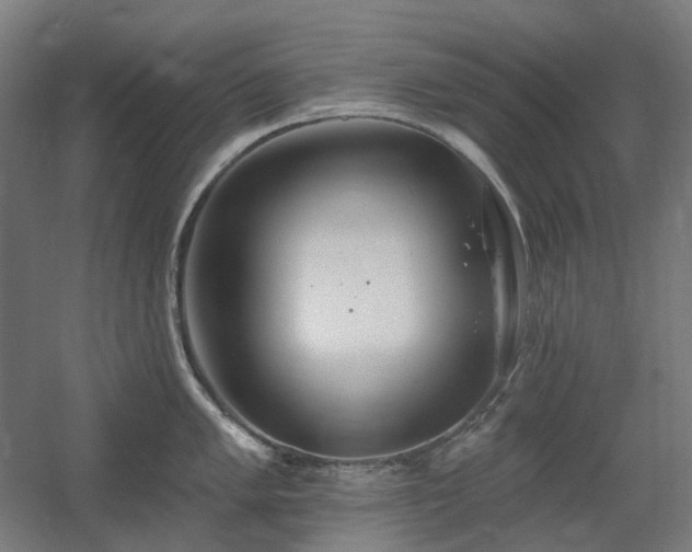 X0000060561005200511031238