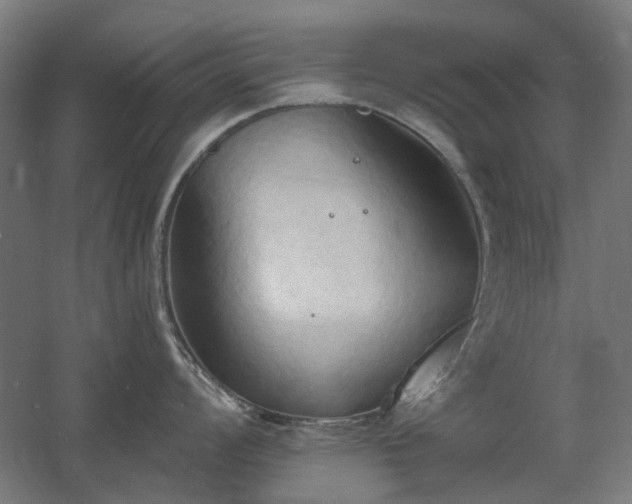 X0000060561008200511031238