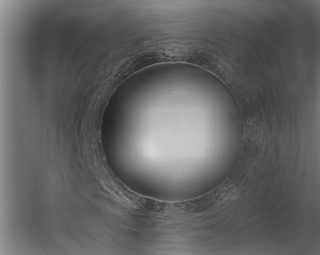 X0000060561009200511031237