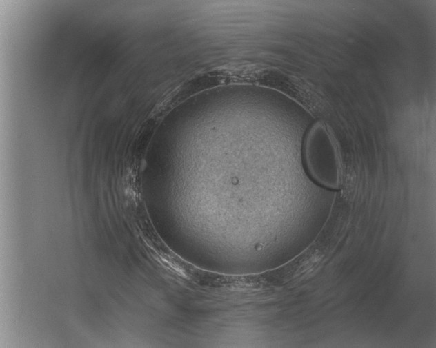 X0000060561010200511031237