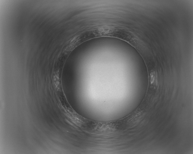 X0000060561011200511031237