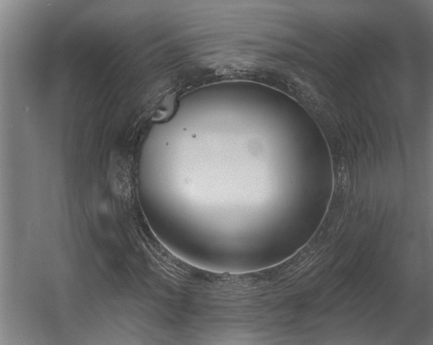 X0000060561012200511031237