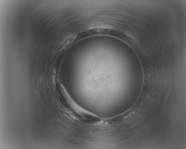 X0000060561014200511031237