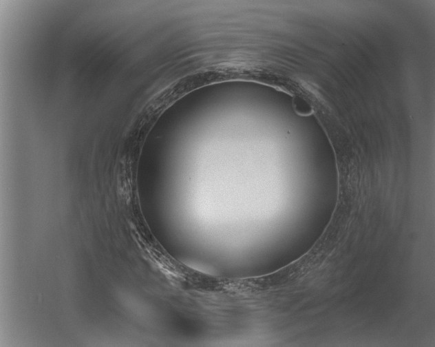 X0000060561015200511031237