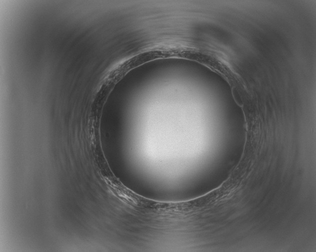 X0000060561016200511031237