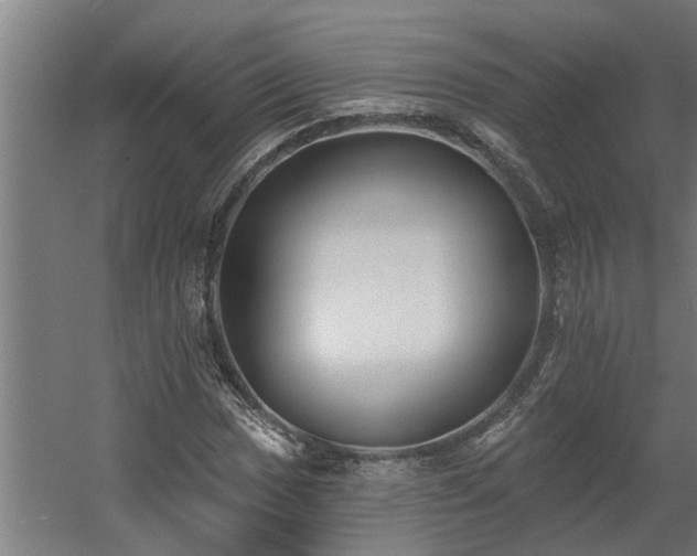 X0000060561017200511031237