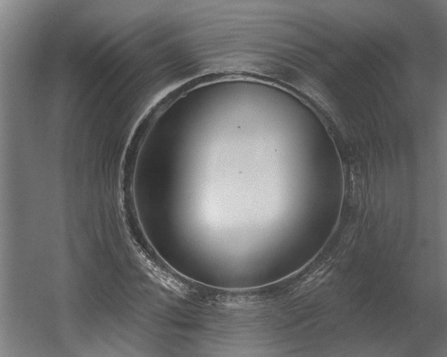 X0000060561020200511031237