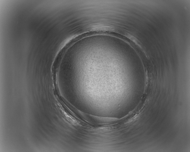 X0000060561022200511031237