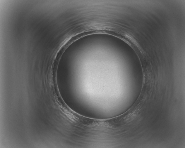 X0000060561023200511031237