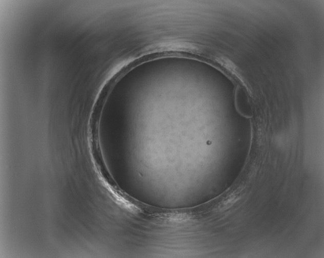 X0000060561024200511031237