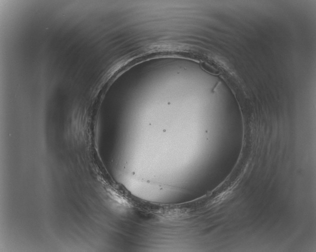 X0000060561025200511031237