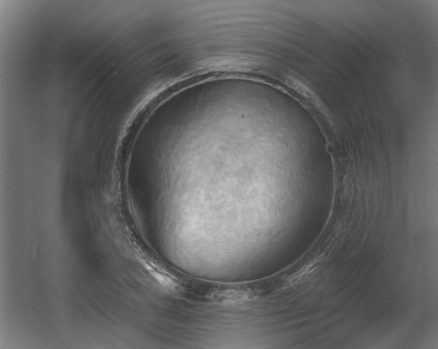 X0000060561027200511031237