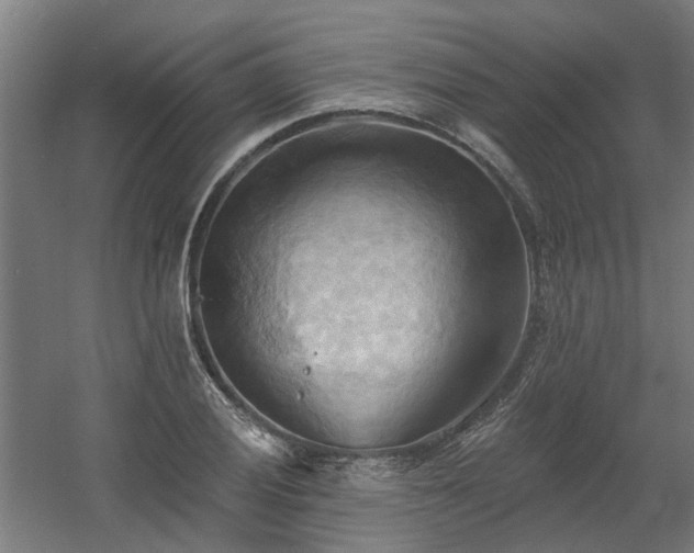 X0000060561028200511031237