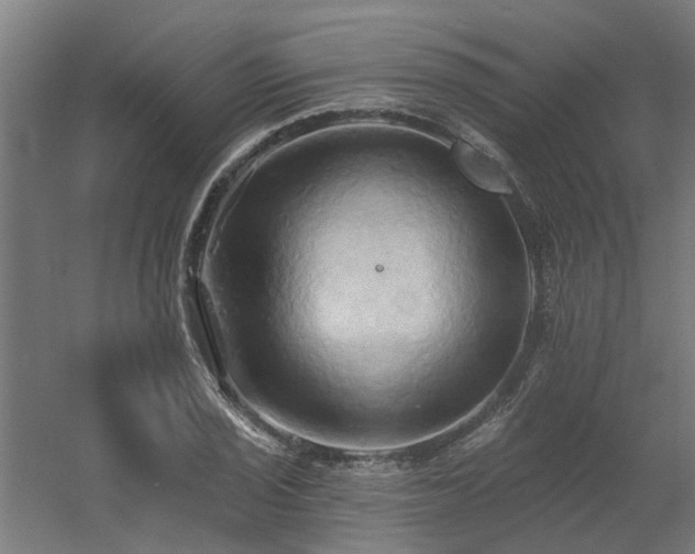 X0000060561029200511031237