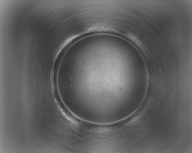 X0000060561030200511031237