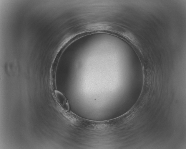 X0000060561031200511031237