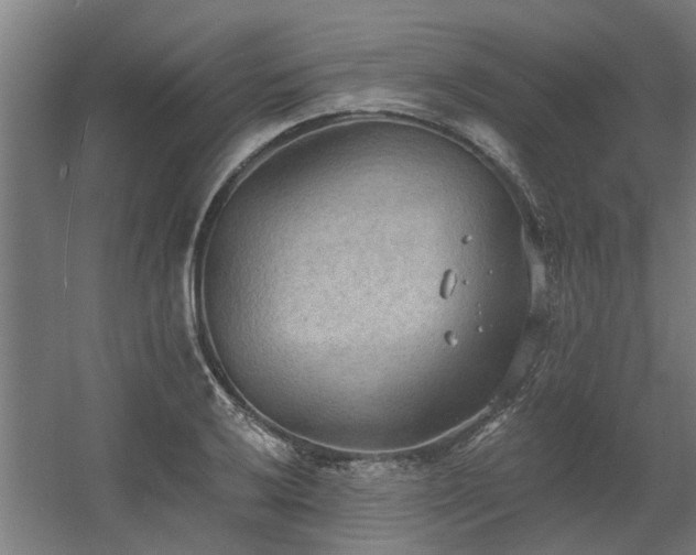 X0000060561032200511031237