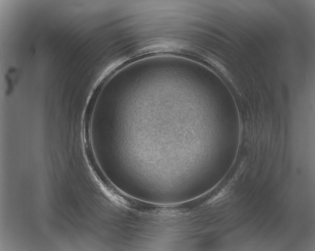 X0000060561034200511031237