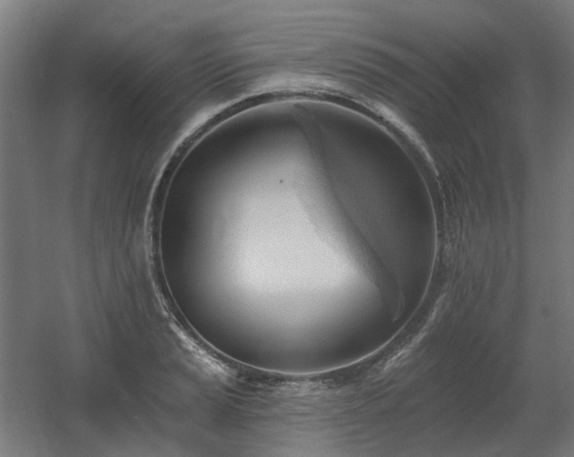 X0000060561037200511031238