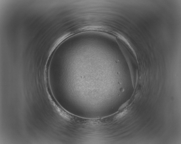 X0000060561050200511031238