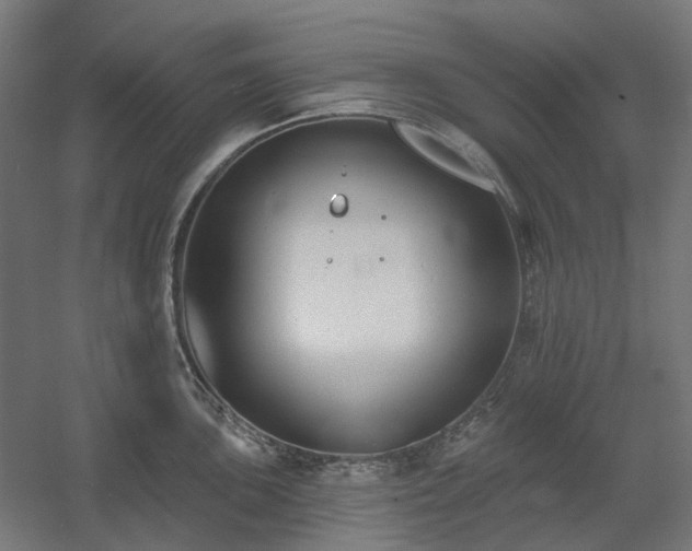 X0000060561051200511031238