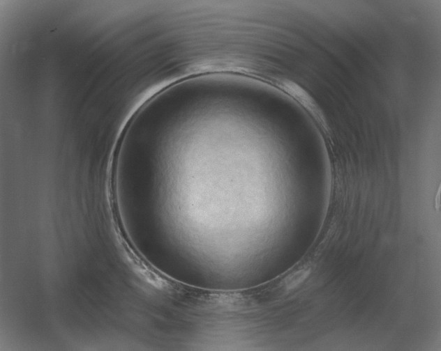 X0000060561052200511031238