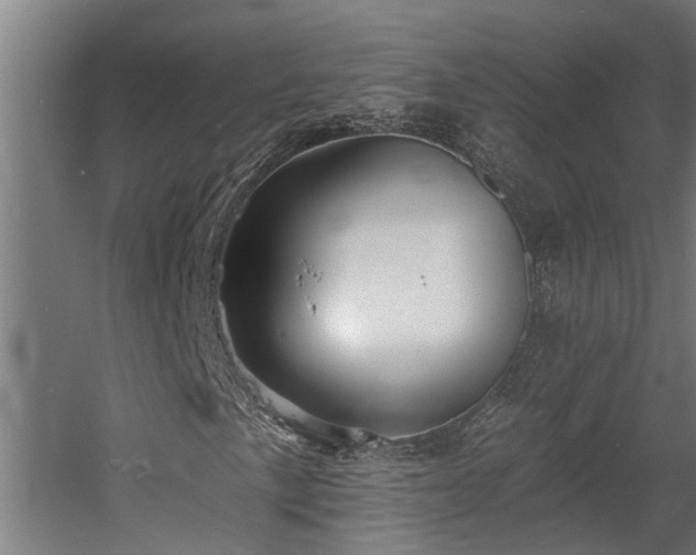 X0000060561057200511031237