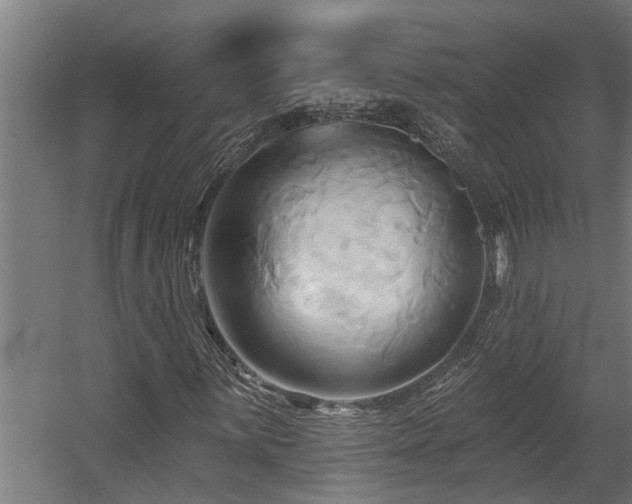 X0000060561059200511031237