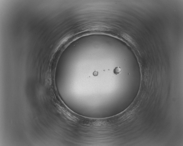 X0000060561067200511031237