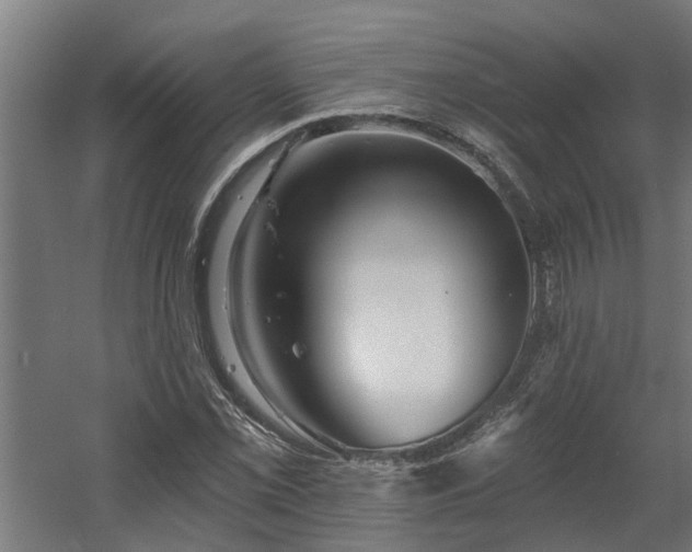 X0000060561069200511031237