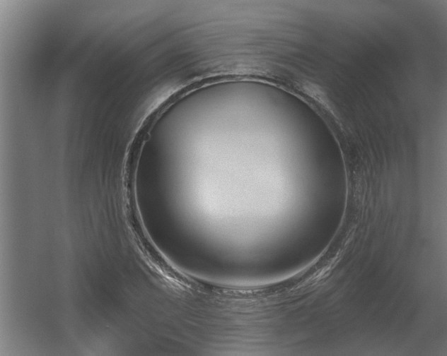 X0000060561071200511031237