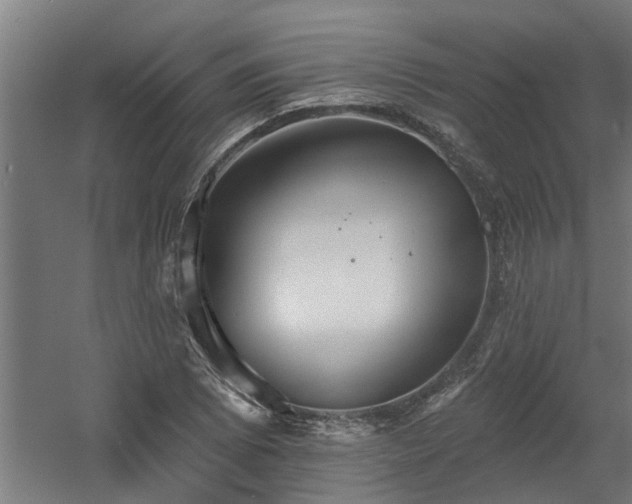 X0000060561073200511031237