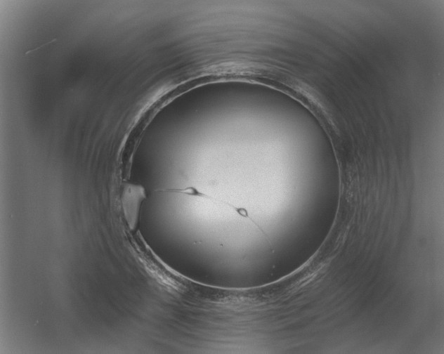 X0000060561075200511031237