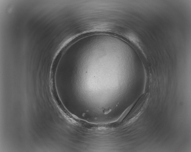 X0000060561077200511031237