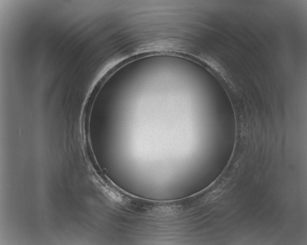 X0000060561078200511031237