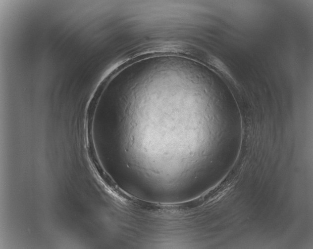 X0000060561079200511031237