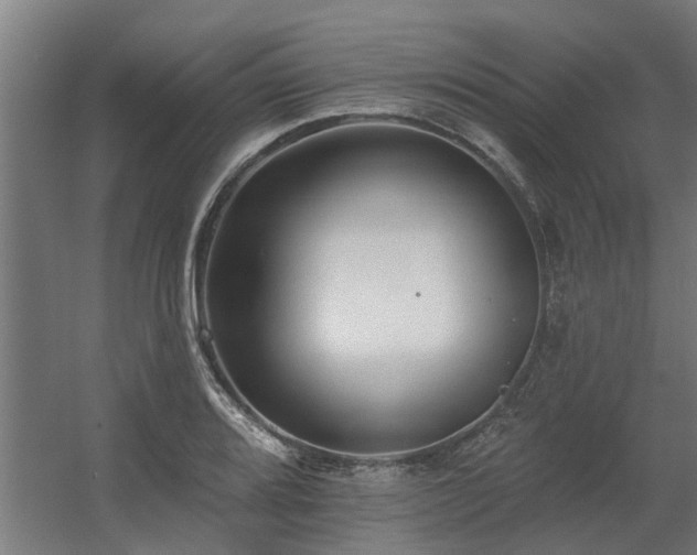 X0000060561080200511031237