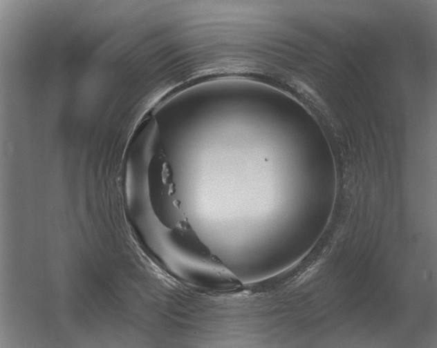 X0000060561081200511031237