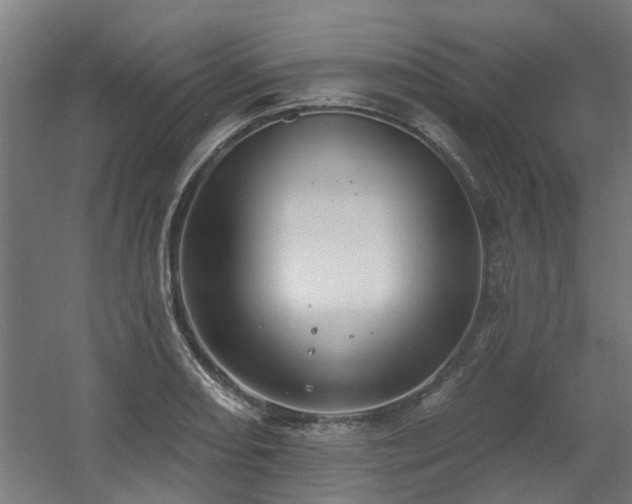 X0000060561082200511031237