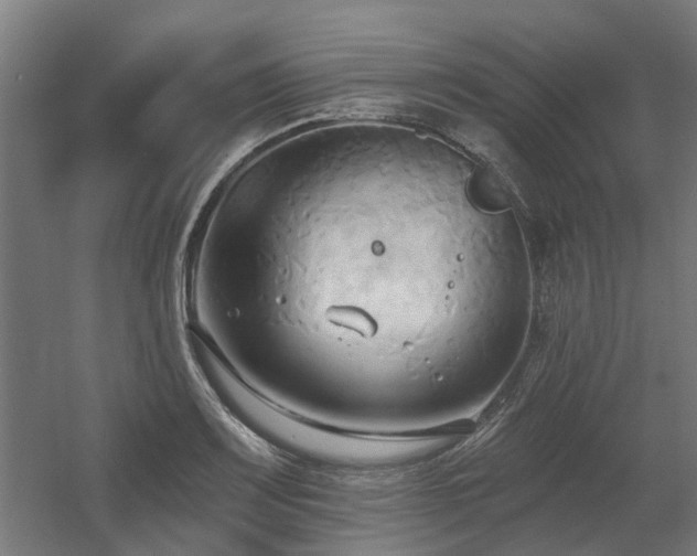 X0000060561083200511031237