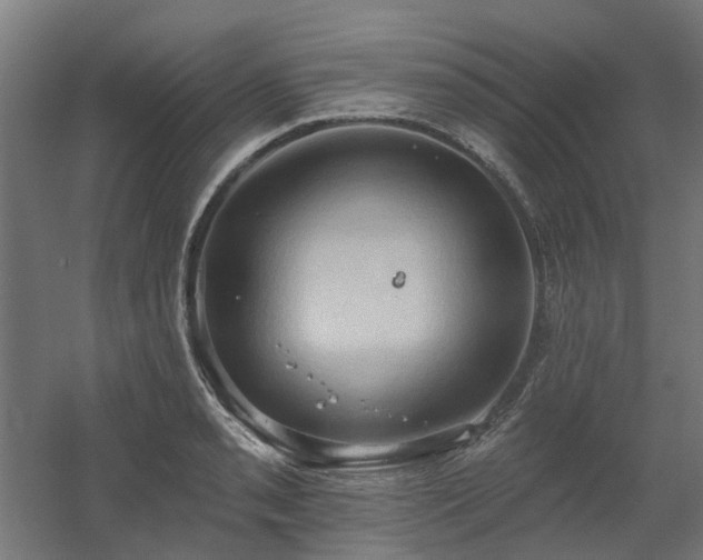 X0000060561085200511031237