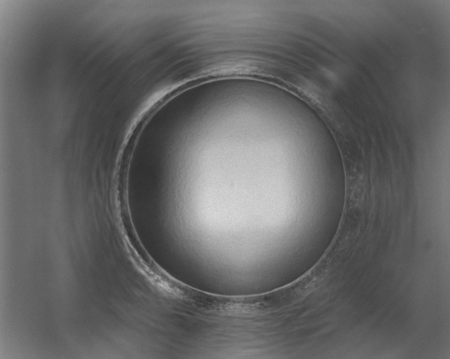 X0000060561086200511031237