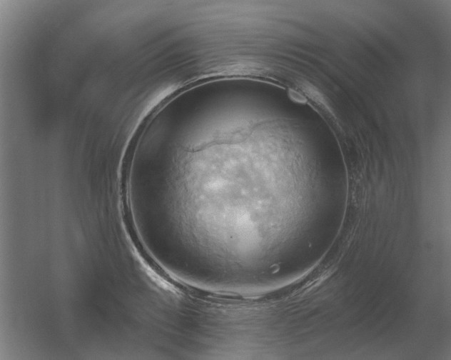 X0000060561087200511031237