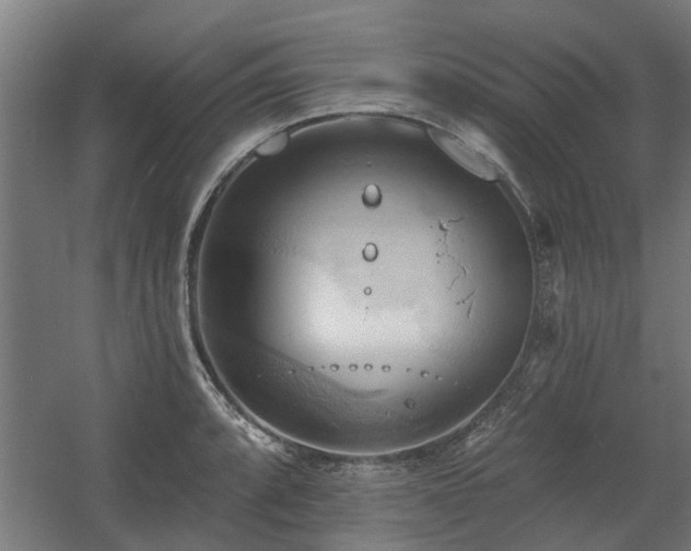 X0000060561088200511031237