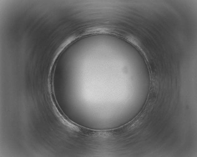 X0000060561090200511031236