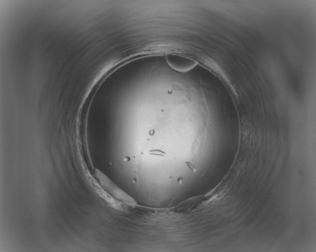 X0000060561091200511031236